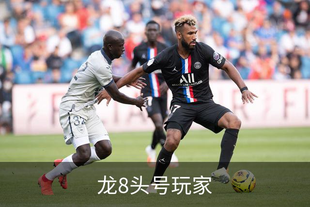 龙8头号玩家公司简介